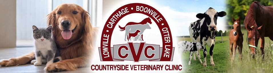 Countryside Veterinary Clinic