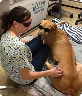 laser therapy treatment session