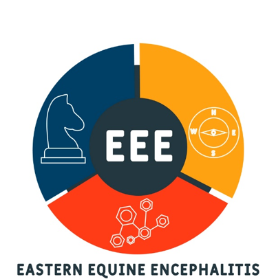 EEE Graph