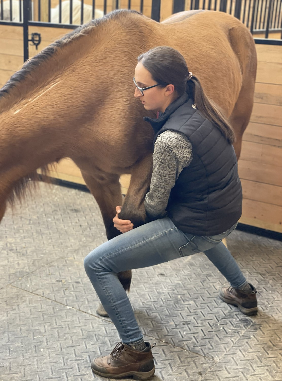 Horse getting Spinal therapy