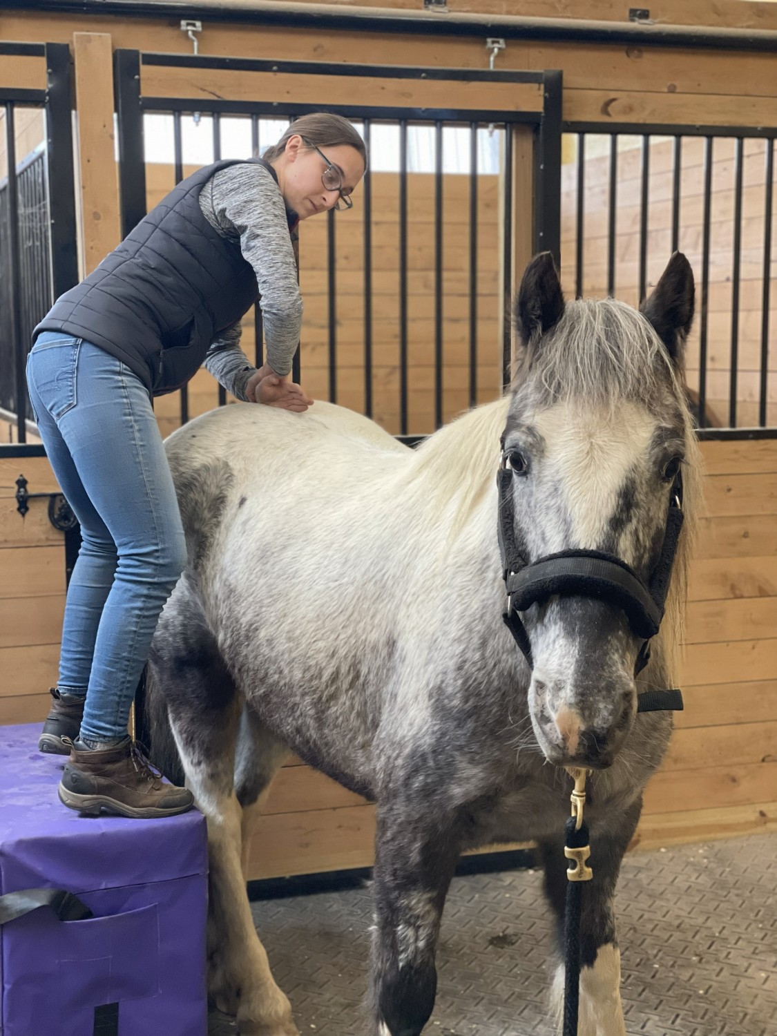Horse getting Spinal Therapy