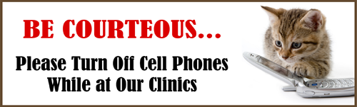 Cell Phone Policy