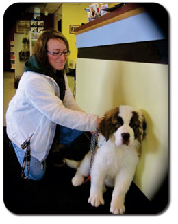 Countryside Veterinary Clinic operates four clinics in upstate New York - located in Lowville, Carthage, Otter Lake, and Boonville. Countryside Veterinary Clinic operates four clinics in upstate New York - located in Lowville, Carthage, Otter Lake, and Boonville.