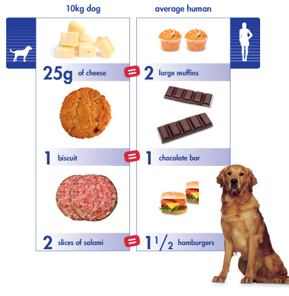 Dog Treat Calorie Chart